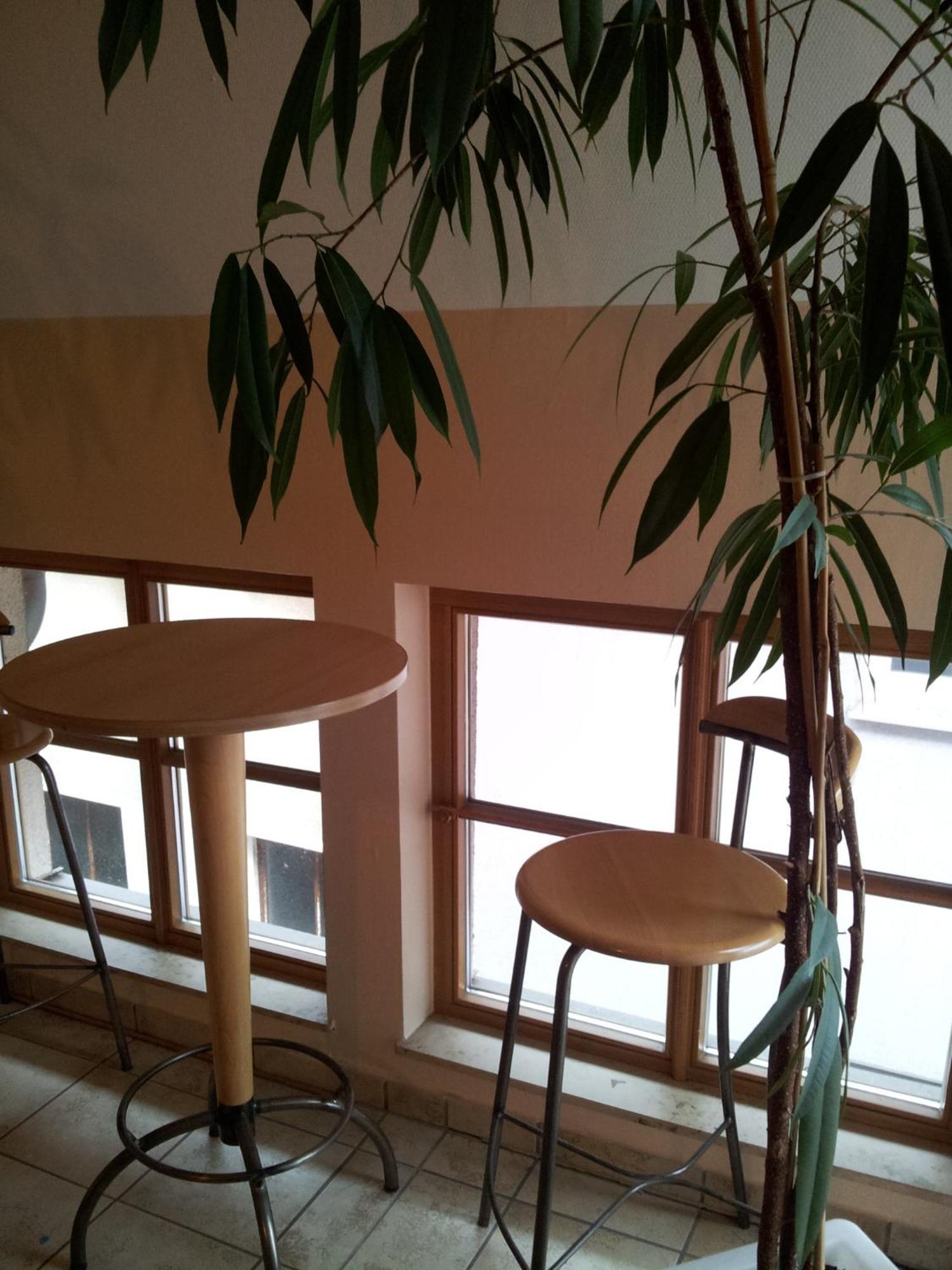 Zur Frischen Quelle Hotel Oberasbach Quarto foto